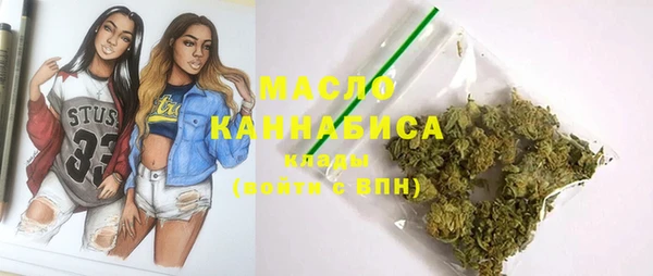соль ск Елабуга