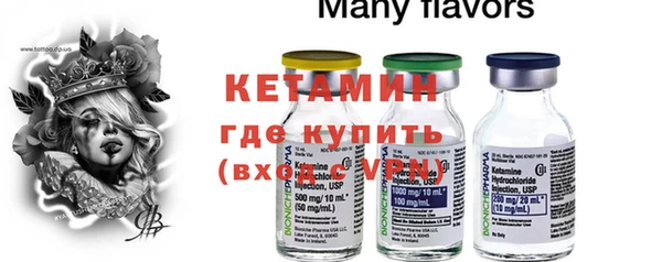 шишки Дмитриев