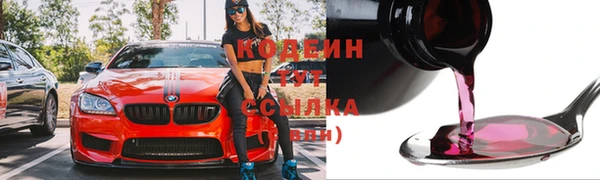 шишки Дмитриев
