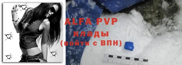 соль ск Елабуга