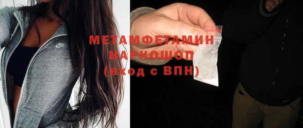 шишки Дмитриев