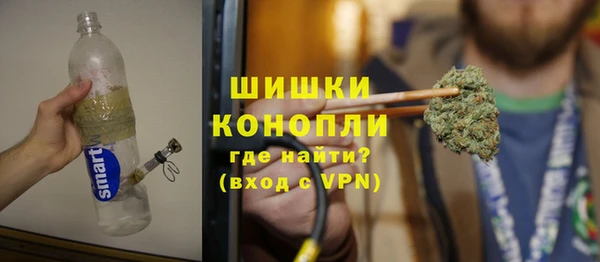 шишки Дмитриев