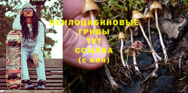 соль ск Елабуга