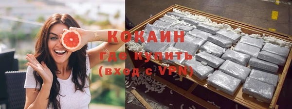 шишки Дмитриев