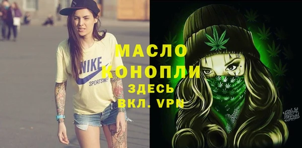 шишки Дмитриев