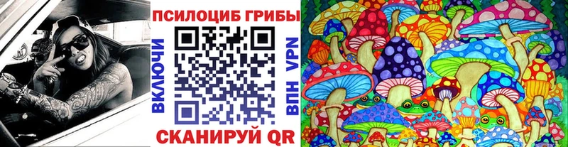 Купить где  Саров  Псилоцибиновые грибы Magic Shrooms 